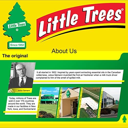 LITTLE TREES Car Air Freshener | Hanging Paper Tree for Home or Car | Strawberry | 6 Pack - Image 7