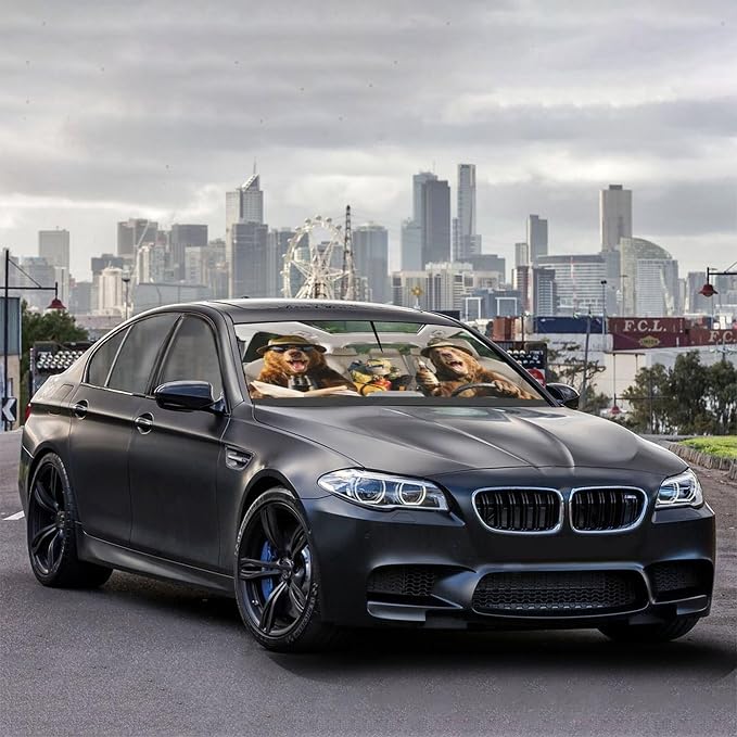 CHILL·TEK Funny Car Windshield Sun Shade Umbrella, Funny Bear Car Sun Shade Umbrella, Block UV Rays Heat Foldable Windshield Umbrella Sun Visor Protector - Keep Vehicle Cool for Cars SUV - Image 8