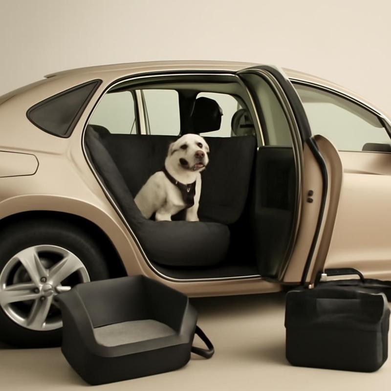 Practical Solutions to Enhance Pet Travel Safety and Comfort with Car Accessories
