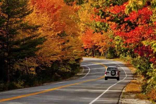 What Should You Keep in Your Car for a Fall Road Trip?