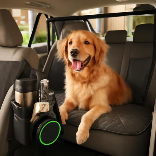 Enhancing Pet Travel Safety and Comfort with Car Organizers and Barriers