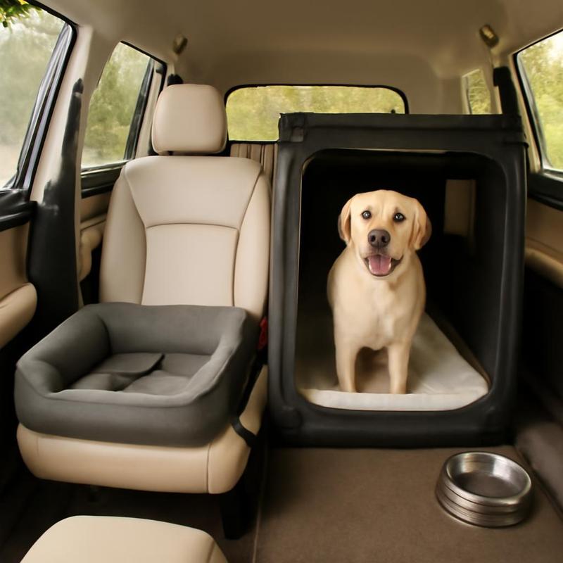 Optimizing Pet Travel: Organized, Safe, and Comfortable Car Solutions