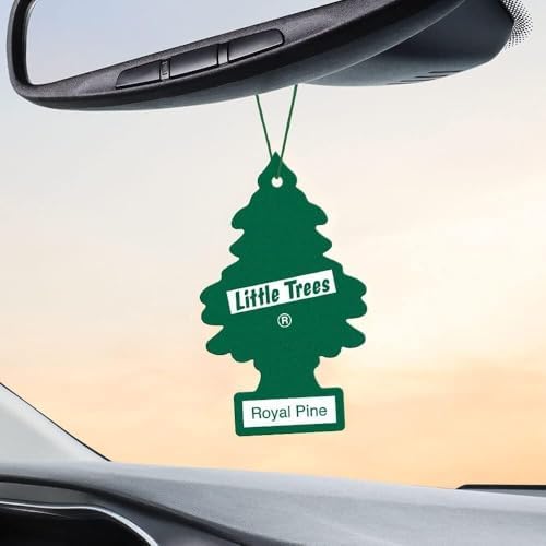 LITTLE TREES Car Air Freshener | Hanging Paper Tree for Home or Car | Royal Pine | 6 Pack - Image 4