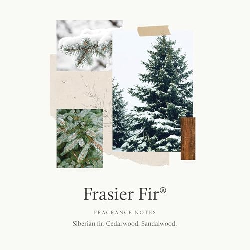 Thymes Frasier Fir Car Diffuser Kit + Refills – Vent Clip Air Freshener + 4 Frasier Fir Diffuser Reeds – Car Air Fresheners with Fresh Scent – Long-Lasting Fragrance - Image 3