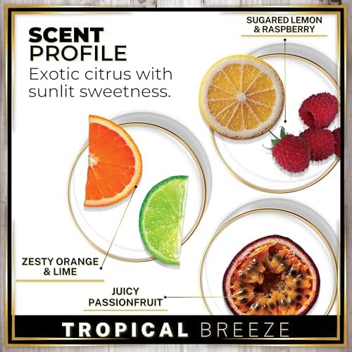 Urban Naturals Car Air Freshener Diffuser 1 Pack, Tropical Breeze Scent - Image 4