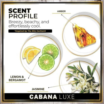 Urban Naturals Car Air Freshener Diffuser 3 Pack, Cabana Luxe Hotel Scent - Image 4