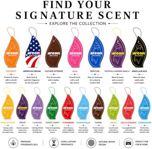 AREON MON MA12 Long Lasting Hanging Best Car Air Freshener Mojito Scent, 12 pack - Image 6