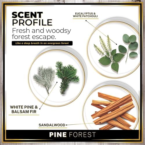 Urban Naturals Car Air Freshener Pine Forest Scent Diffuser, Long Lasting Car Fresheners Made in USA, Odor Eliminating Technology, Hanging Auto Accessories + Vent Clip (1 Pack) - Image 4