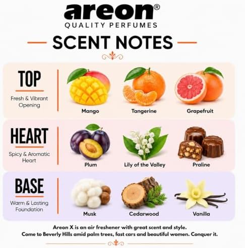 AREON X Version Summer Dream Fresh Paper Hanging Car Air Freshener 12 Pack - Image 3