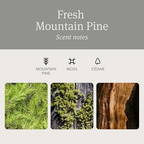 Drift Car Air Freshener - Stone Air Freshener Car Odor Eliminator - Long Lasting Scent - Auto Accessories - Metal Clip - Essential Oils - Clean Ingredients - Pine Scent Starter Kit - Image 3