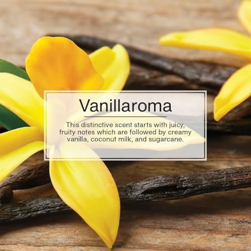 LITTLE TREES Car Air Freshener | Hanging Paper Tree for Home or Car | Vanillaroma | 3 Pack - Image 5