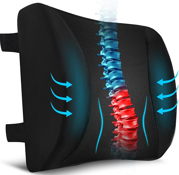 Niceeday Lumbar Support Pillow for Office Chair Car, Gaming Chair Lower Back Pain Relief Memory Foam Cushion with 3D Mesh Cover Ergonomic Orthopedic Back Rest Lower Back Support by NICEEDAYBRAND