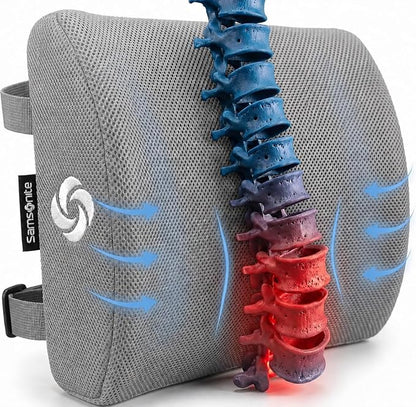 Samsonite Memory Foam Lumbar Support Pillow for Office Chair, Gaming Chair & Car Seat Automotive Use, Ergonomic Back Cushion, Work from Home Essentials, Office Essentials for Sitting Comfort, Grey by Samsonite
